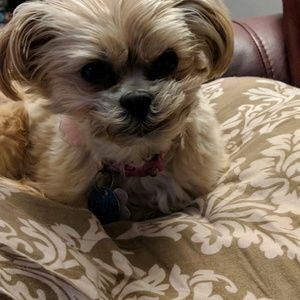 Meet your Posher, Todd